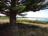 Currie Cemetery, King Island